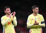 爱游戏app下载-荷兰-完胜爱尔兰，欧预赛连胜继续的简单介绍