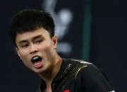 爱游戏电竞-男子单打乒乓球冠军诞生，热血拼搏不负众望的简单介绍