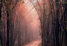 爱游戏平台-塞维利亚客场战平瓦伦西亚，保持领跑，塞维利亚队