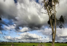 爱游戏官方-塔斯马尼亚联赛前发布会：全队信心满满迎战鹿岛鹿角