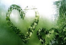 爱游戏入口-西雅图海湾者后防联动升级，力求限制对方攻势