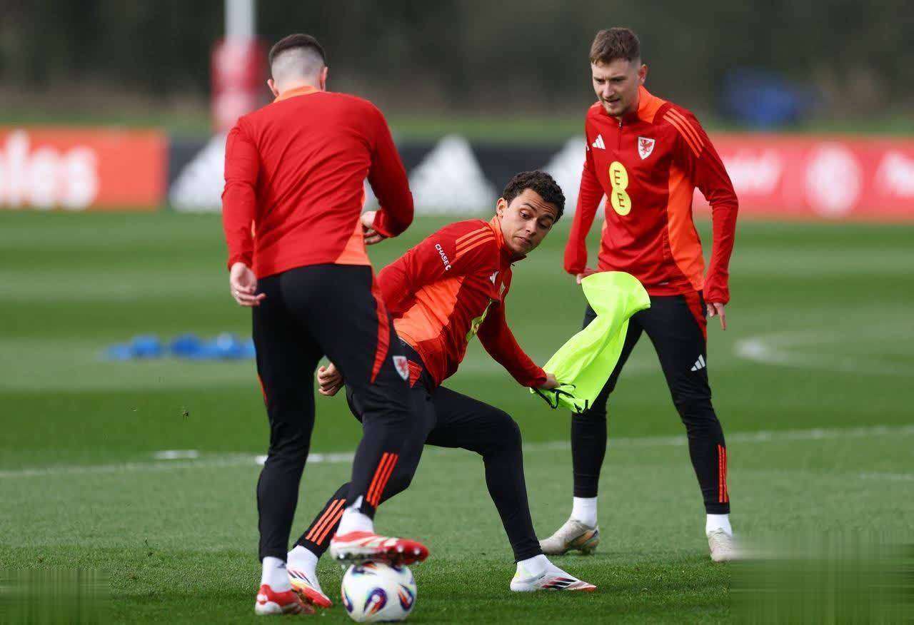 包含比利时队在赛场上获得胜利的词条 包含比利时队在赛场上获得胜利的词条